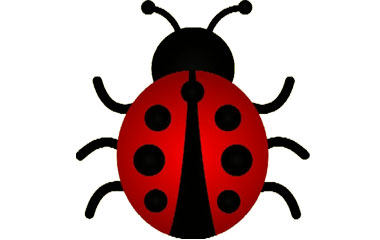 Bed bug treatment